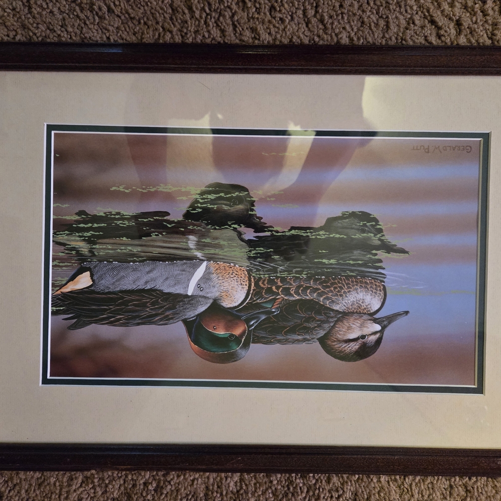 Framed Waterfowl Art Print